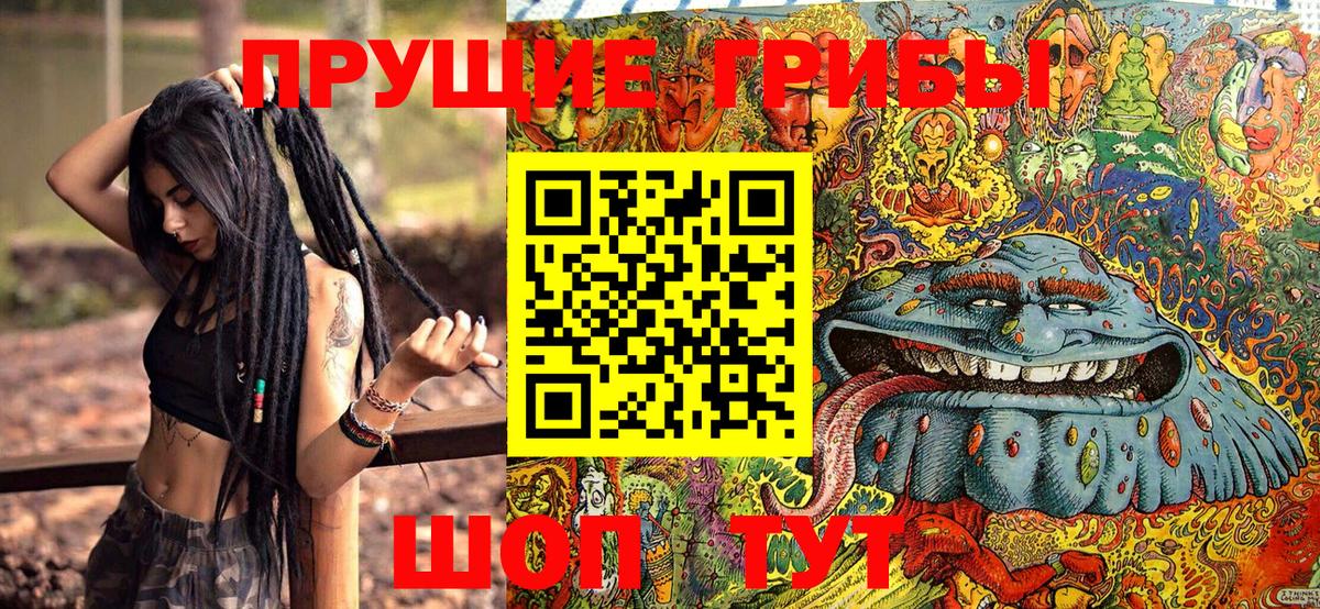 Галлюциногенные грибы Psilocybe  Вход с VPN  Улан-Удэ  Галлюциногенные грибы Psilocybine cubensis 